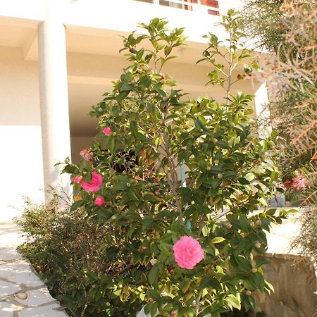 Apartments Vila Marica Rabac Exterior foto